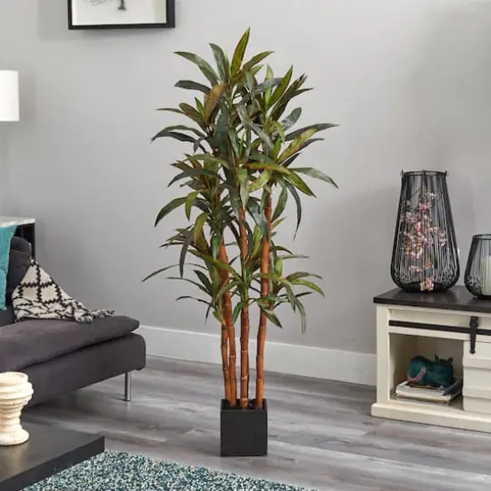 5ft. Potted Yucca Tree {3}
