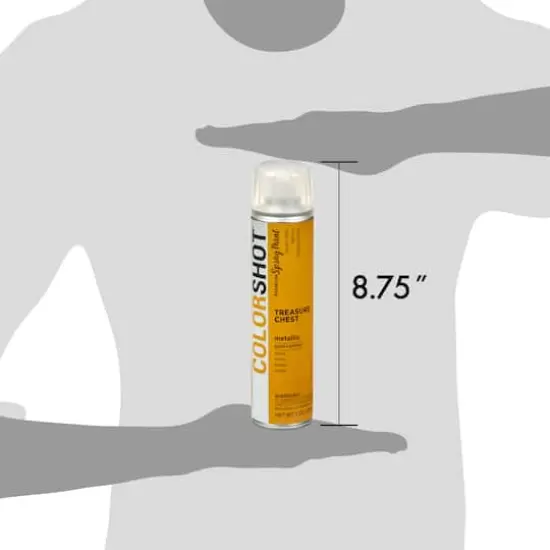 COLORSHOT&reg; Premium Metallic Spray Paint Treasure Chest {7}