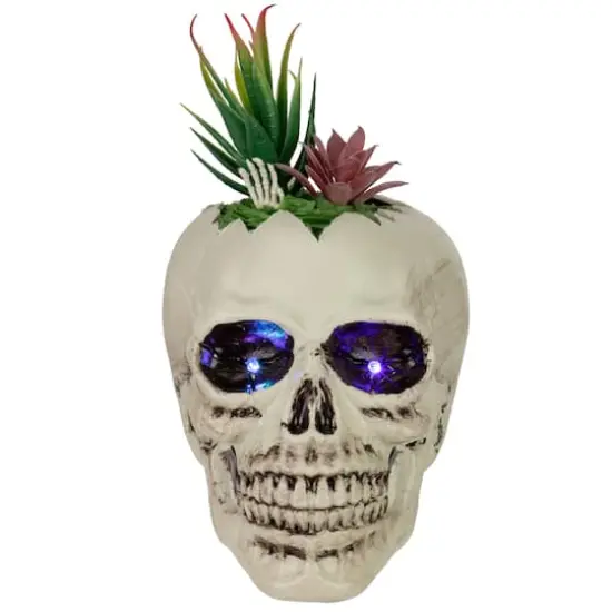 9" LED Lighted Succulent Halloween Skull Planter {1}