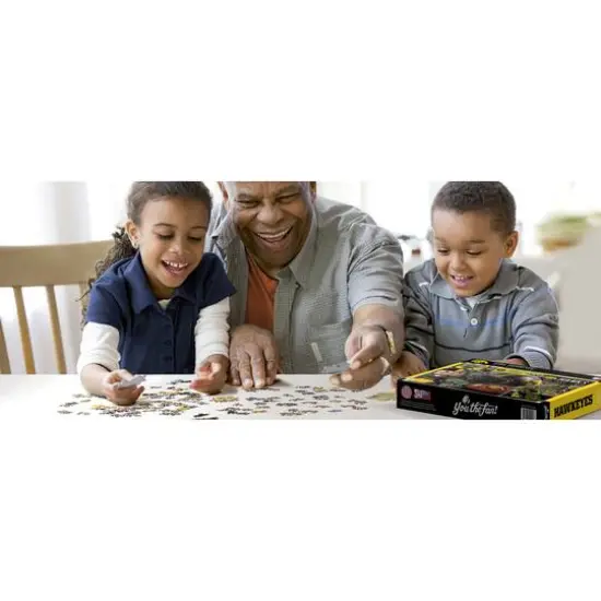 College Team Retro Series 500 Piece Puzzle Iowa Hawkeyes {4}