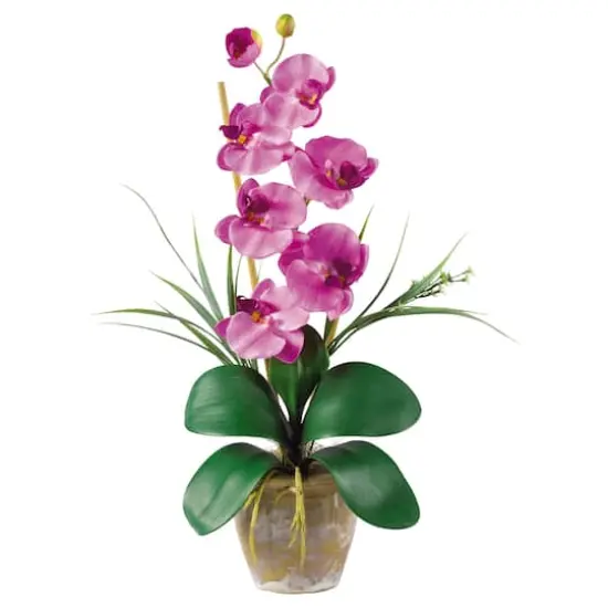 21" Moth Orchid Flower Arrangement in Ceramic Pot Mauve {1}