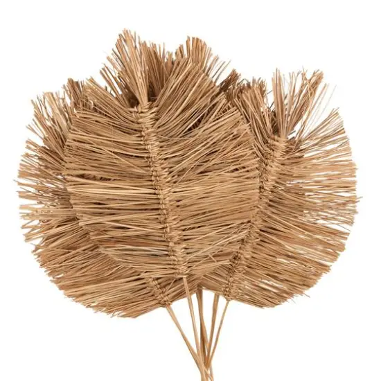 32" Brown Dried Grass Spear-Shaped Foliage with Sharp Stems {6}