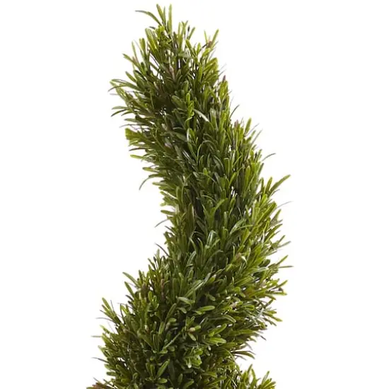 6ft. Potted Rosemary Spiral Tree {4}
