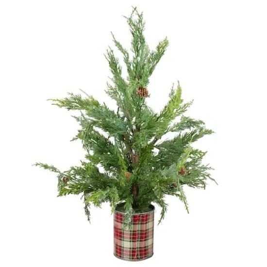 24" Unlit Iced Cedar Artificial Potted Christmas Tree {1}
