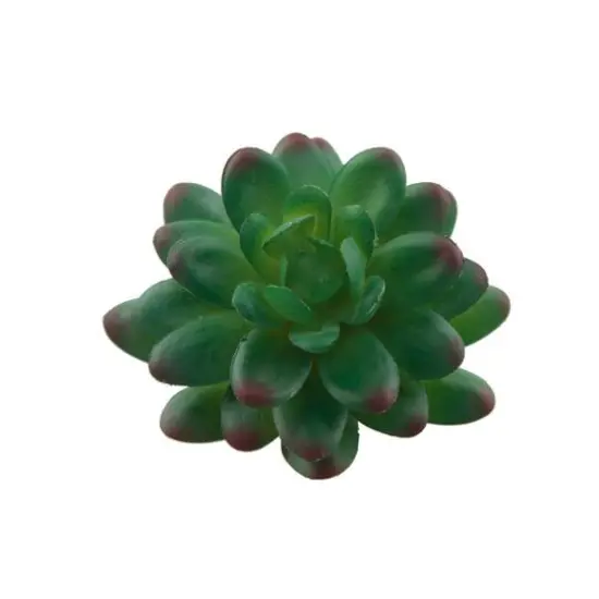 Flora Bunda&reg; Stonecrop Succulent Pick, 12ct. {3}