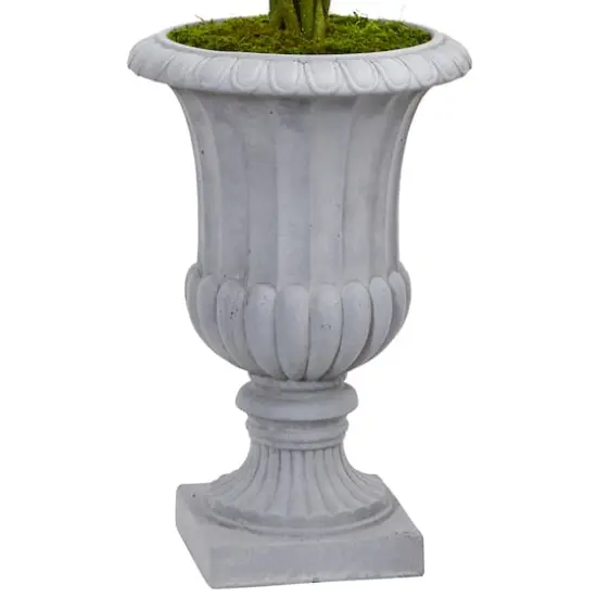 3ft. Braided Boxwood Topiary Tree in Gray Urn {4}