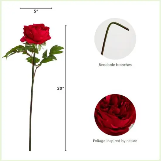 20" Red Peony Flower Stems, 3ct. {5}