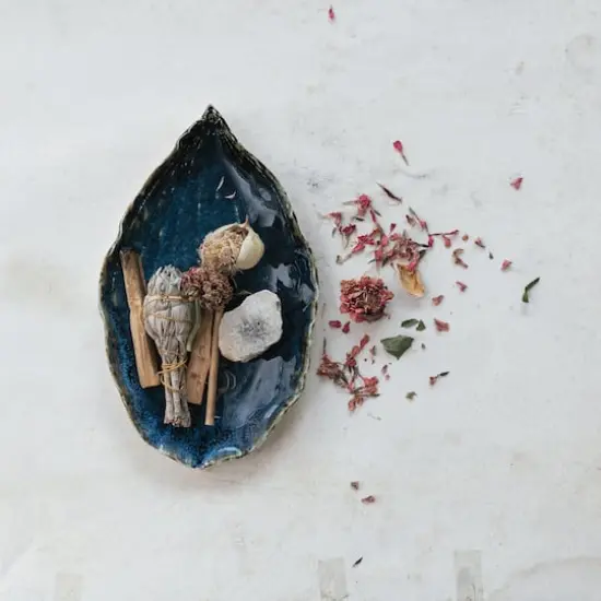 Hello Honey&reg; 10" Blue Azure Leaf Stoneware Plate {4}