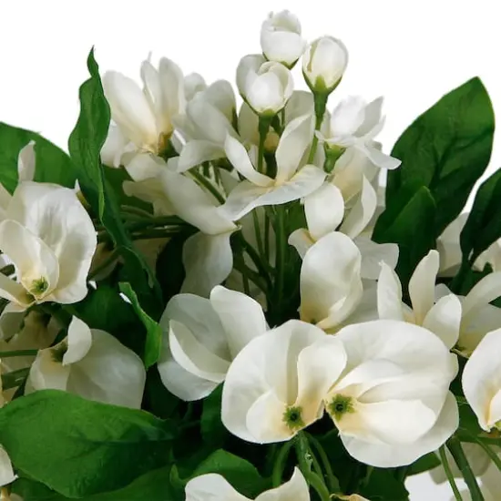 17" Cream Wisteria Bush by Ashland&reg; {3}