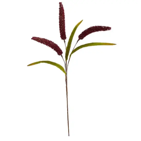30" Burgundy Sorghum Harvest Spray, 12ct. {1}