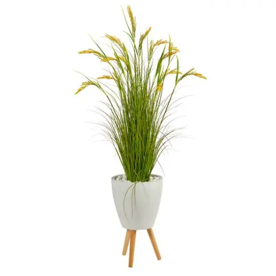 5ft. Wheat Grain Plant in Decorative White Planter {1}
