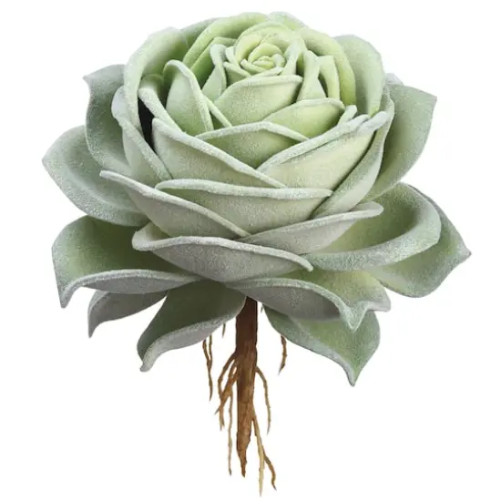 6.3" Green Rose Echeveria Pick  {1}