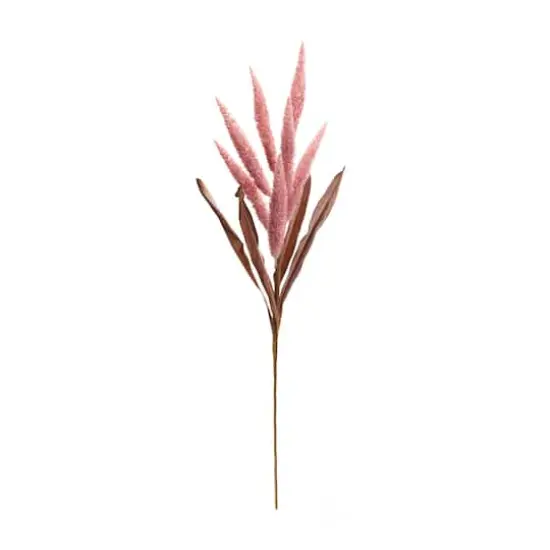35.5" Dark Pink Foxtail Plume Stems, 2ct. {3}