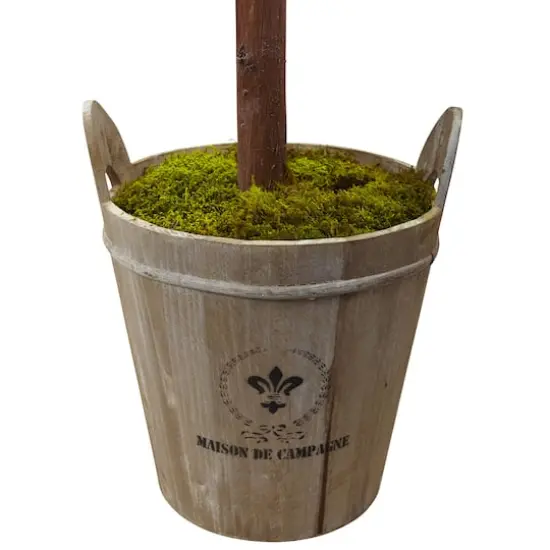 4.5ft. Olive Topiary Tree with Farmhouse Barrel Planter {5}