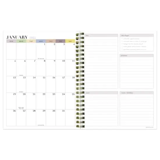 TF Publishing 2025 Medium Lemons of Capri Weekly Monthly Spiral Planner {3}