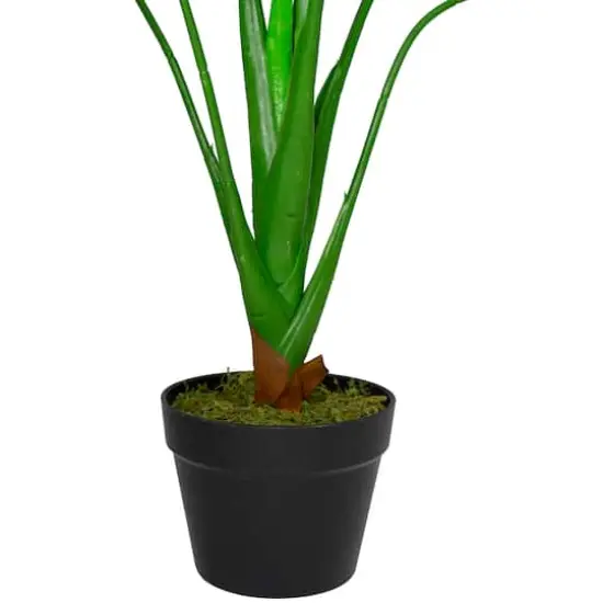 2.9ft. Potted Wide Leaf Monstera Floor Plant {5}