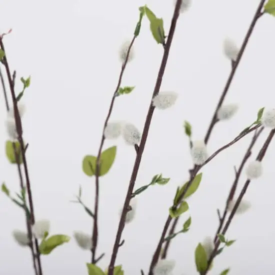 Gray Willow Bush {3}