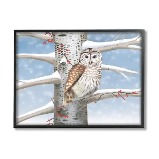 Stupell Industries Snowy Birch Tree Owl Framed Giclee Art Black {1}