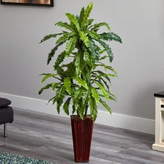4.5ft. Dragon Tree with Bamboo Planter {3}