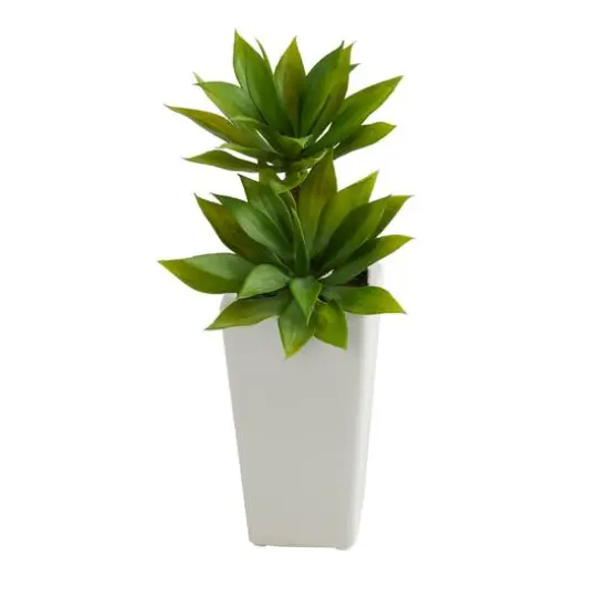 11.5" Double Mini Agave Succulent in White Planter {1}