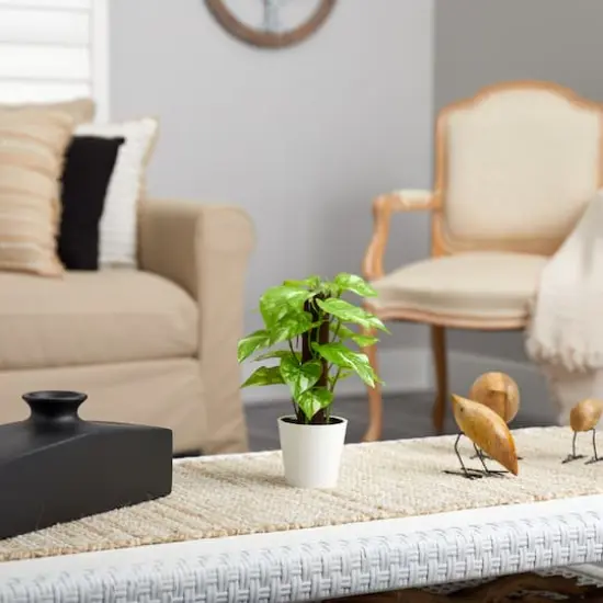 9" Pothos Plant in Decorative White Planter {5}