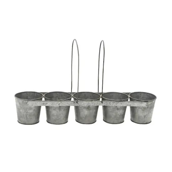 Gray Metal Farmhouse 5-Pot Planter {1}