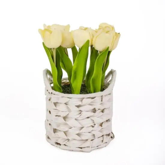 10" Tulip Bouquet in White Basket Light Yellow {1}
