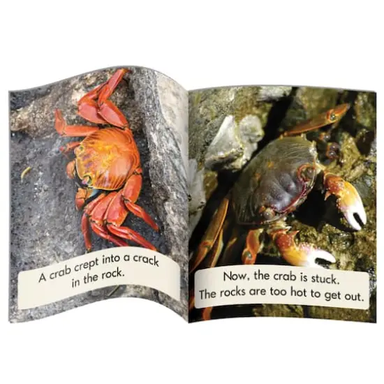 Junior Learning&reg; Blend Readers Non-Fiction Learning Set {4}