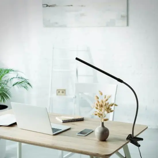 Ottlite Clip On LED Easel Lamp {10}