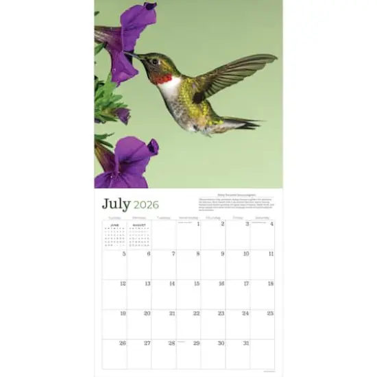 2026 Backyard Birds Wall Calendar {3}