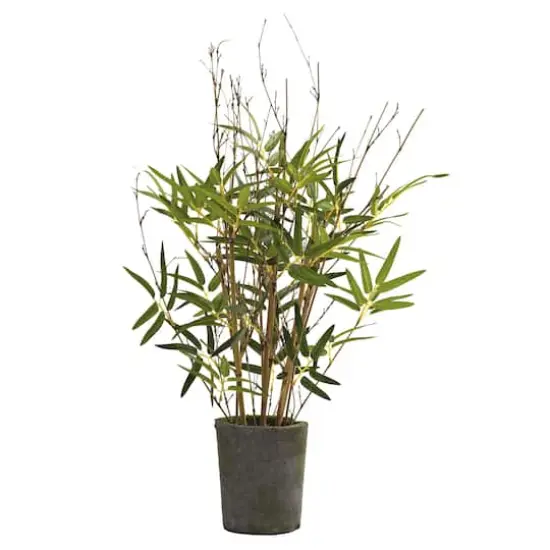 2.25ft. Bamboo Tree with Cement Pot {1}