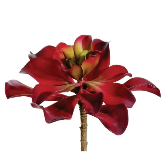 Red Kalanchoe Pick {1}