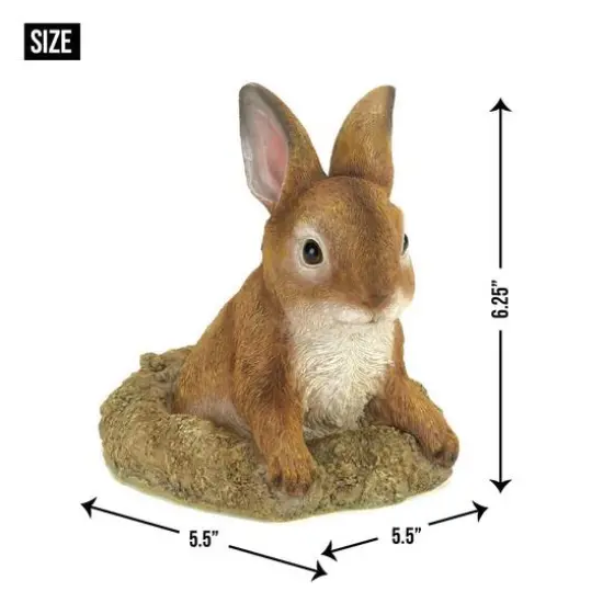 6" Curious Bunny Garden D&eacute;cor {10}