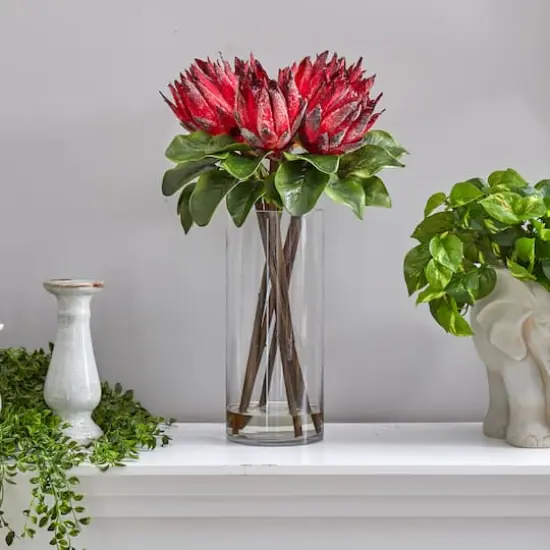 22" King Protea Floral Arrangement in Glass Vase {4}