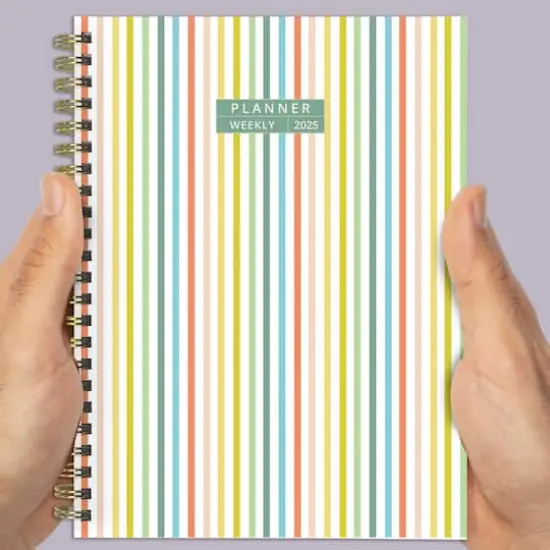 TF Publishing 2025 Medium Malibu Stripes Weekly Monthly Spiral Planner {8}