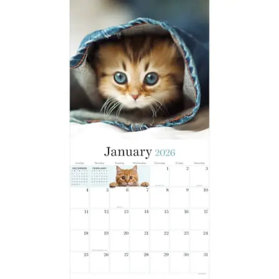 2026 Kittens Wall Calendar {3}