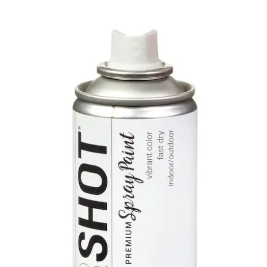 COLORSHOT&reg; Premium Gloss Spray Paint Marshmellow {5}