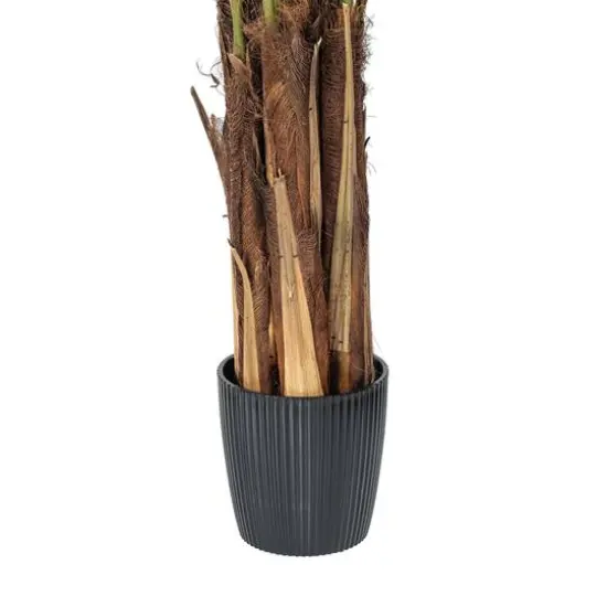 6ft. Potted Giant Areca Palm Tree {6}