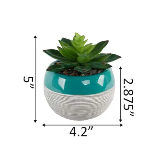 Flora Bunda&reg; Succulent In Two Tone Pattern Teal Ceramic Pot  {3}