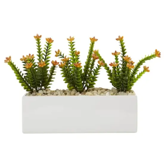 Flowering Sedum in Rectangular Planter {1}