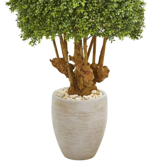 3ft. Boxwood Topiary Tree in Sandstone Planter {4}