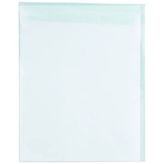 JAM Paper 8.93" x 11.25" Self Adhesive Closure Cello Sleeves, 100ct. Aqua {7}