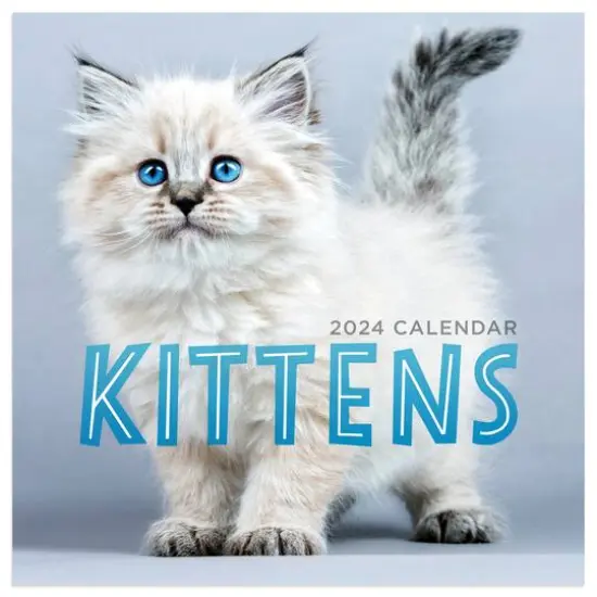 TF Publishing 2024 Kittens Mini Calendar {1}