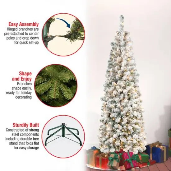 6ft. Pre-Lit Flocked Acacia Pencil Artificial Christmas Tree, Clear Lights {6}