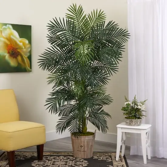 6ft. Golden Cane Palm Tree in Wooden Planter {4}