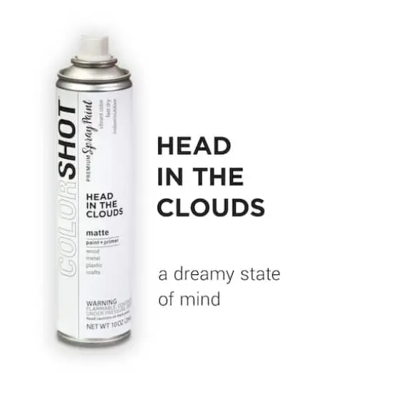 COLORSHOT&reg; Head In the Clouds Matte Spray Paint {3}