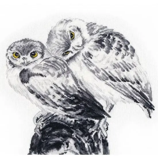 Oven Owls In Love Cross Stitch Kit {1}