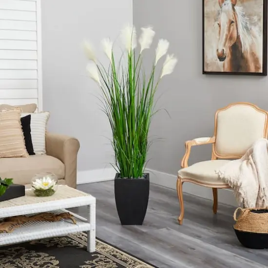 5ft. Wheat Plume Grass Plant in Black Planter {4}