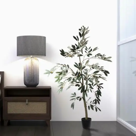 4ft. Potted Olive Tree {3}