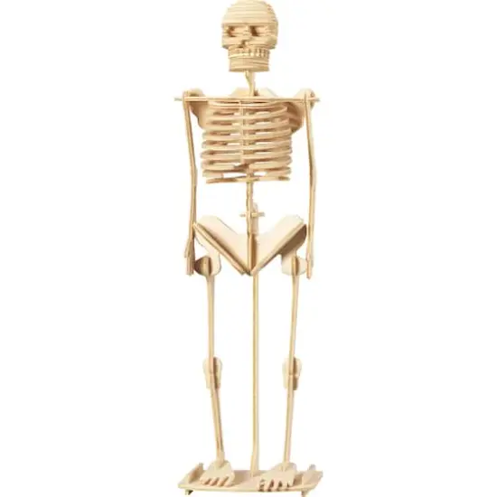 Wonders of Learning Discover the Human Body Educational Tin Set {5}